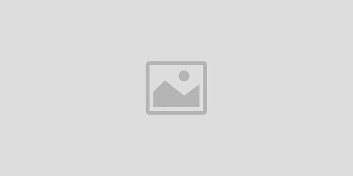 Mastodon Marketplace Limited promo